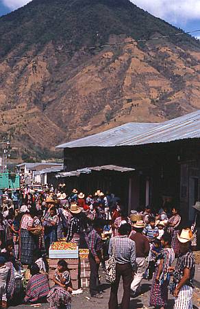 market4.jpg - 37kb